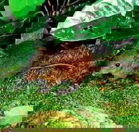 3-Day Small-Group Tour of North Queensland with Pick Up - Hervey Bay Accommodation