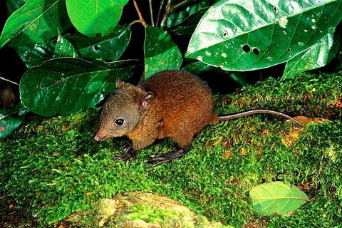 3-Day Small-Group Tour Of North Queensland With Pick Up - Hervey Bay Accommodation 0