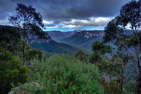 Ultimate Blue Mountains And Wildlife Tour - Hervey Bay Accommodation 1