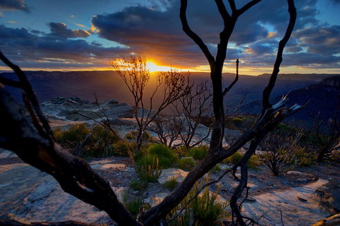 Ultimate Blue Mountains And Wildlife Tour - Hervey Bay Accommodation 2