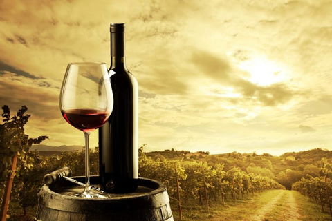 Barossa Valley Cellar Doors Luxury Wine Tour - Hervey Bay Accommodation 0