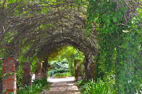 Barossa Valley Cellar Doors Luxury Wine Tour - Hervey Bay Accommodation 3
