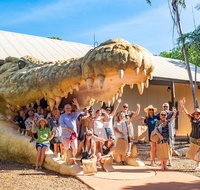 Malcolm Douglas Crocodile Park Tour Including Transportation - Hervey Bay Accommodation