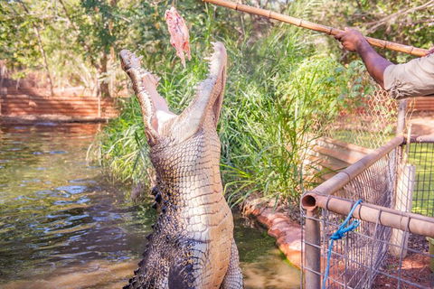 Malcolm Douglas Crocodile Park Tour Including Transportation - Tourism Hervey Bay 5