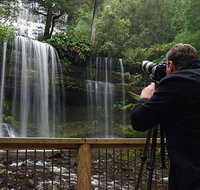 Mt Field and Styx Valley Photography Tour - Hervey Bay Accommodation