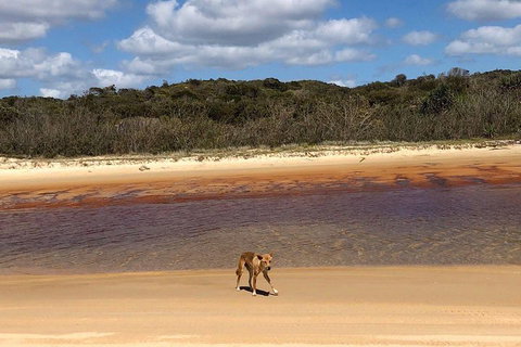 Pippies 3 Days 2 Nights Fraser Island Tour - Hervey Bay Accommodation 2