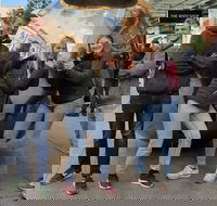 Guided Walking Tour in Adelaide - Tourism Hervey Bay