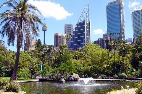 Private Sydney Half Day Tour Including Sydney Opera House And Bondi Beach - Hervey Bay Accommodation 4