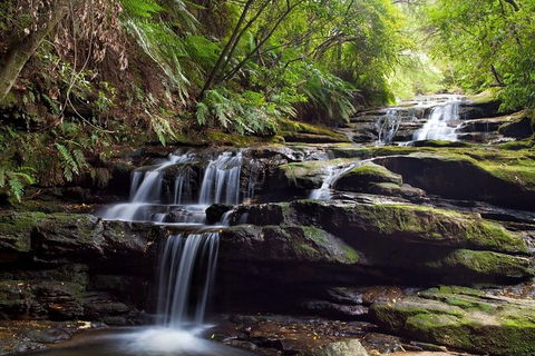 Private All Blue Mountains Day Tour - Hervey Bay Accommodation 1