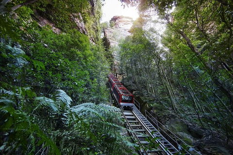 Private All Blue Mountains Day Tour - Hervey Bay Accommodation 3