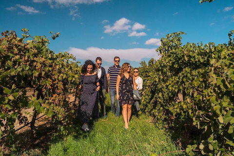 Barossa Valley Private Tour (from 2 To 11 People) - Hervey Bay Accommodation 0