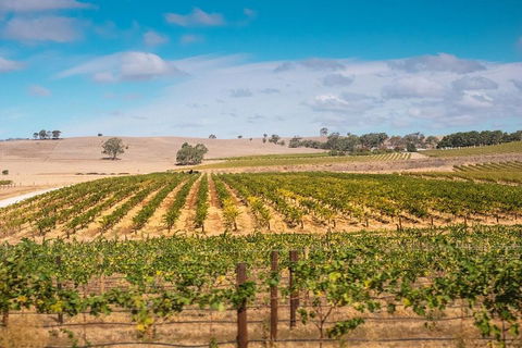 Barossa Valley Private Tour (from 2 To 11 People) - Hervey Bay Accommodation 2