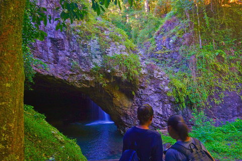 Natural Arch, Rainforest & Volcano Canyon - Private Half Day Tour - Hervey Bay Accommodation 4