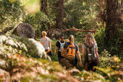 Cabaret Cave Yoga & Mindful Hike - Hervey Bay Accommodation 2