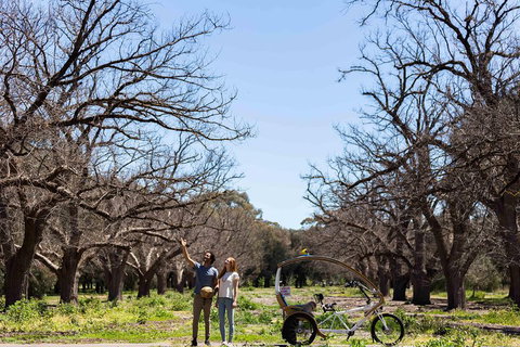 Adelaide 90-Minute Pedicab Tour: Scenic Green & River Experience - Hervey Bay Accommodation 1