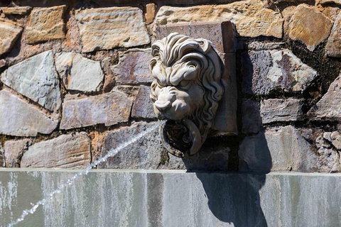 Adelaide 90-Minute Pedicab Tour: Scenic Green & River Experience - Hervey Bay Accommodation 3