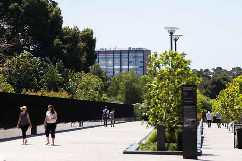 Adelaide 90-Minute Pedicab Tour: Scenic Green & River Experience - Hervey Bay Accommodation 4