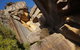 3 Day Group Camping Tour - Visit Grampians, Great Ocean Road And 12 Apostles - thumb 3