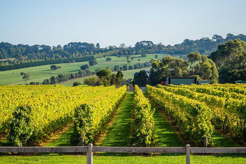 Private Tours From Melbourne - Tourism Hervey Bay 1