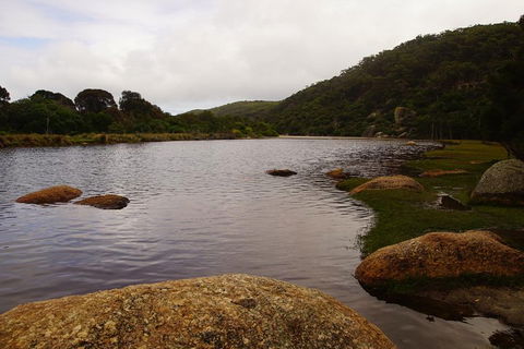 Private Tours From Melbourne - Tourism Hervey Bay 2