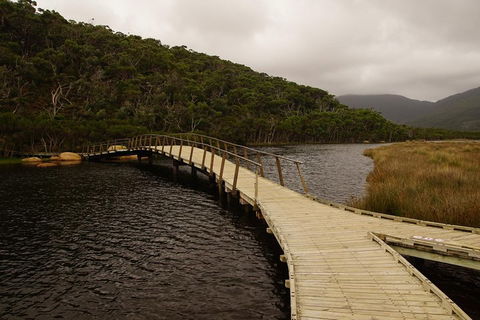 Private Tours From Melbourne - Tourism Hervey Bay 3