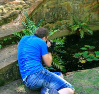 Highlights of Perth Photographic Tour - Hervey Bay Accommodation