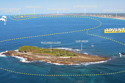 1.5HR Mudjimba Island Wildlife Safari - Hervey Bay Accommodation 1
