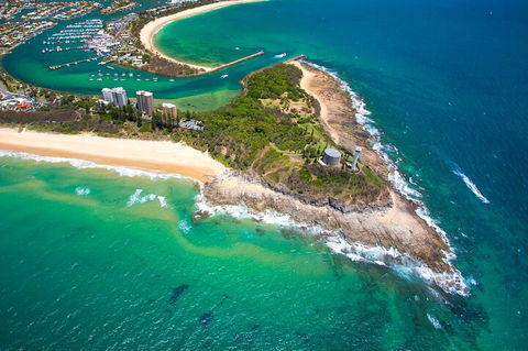 1.5HR Mudjimba Island Wildlife Safari - Hervey Bay Accommodation 5