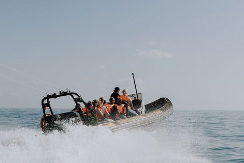Adventure Rafting - Hervey Bay Accommodation 0