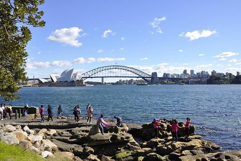 Sydney Sightseeing Bus Tours - Hervey Bay Accommodation 2