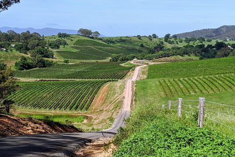 The Complete Hunter Valley Wine Tour Of Pokolbin, Mt View, Lovedale And Rothbury - Hervey Bay Accommodation 0