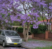 Sydney Secrets  Bondi Beach Private 4 Hr Morning with Personalised Sydney Tours - Hervey Bay Accommodation