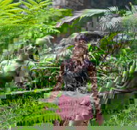 Full-Day Guided Hinterland Adventure Tour in Queensland - Tourism Hervey Bay
