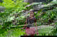 Full-Day Guided Hinterland Adventure Tour in Queensland, Noosa