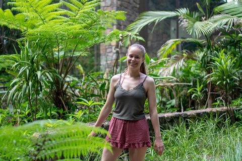 Full-Day Guided Hinterland Adventure Tour In Queensland - Tourism Hervey Bay 0
