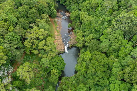 Full-Day Guided Hinterland Adventure Tour In Queensland - Tourism Hervey Bay 4