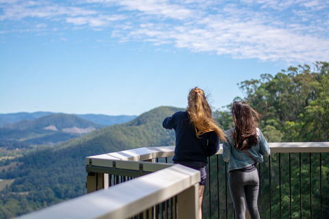 Full-Day Guided Hinterland Adventure Tour In Queensland - Tourism Hervey Bay 5
