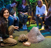 Sydney Taronga Zoo's Australian Animals Tour - Hervey Bay Accommodation