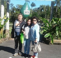Tropical Fruit World with Wildlife Boat Cruise from Gold Coast - Hervey Bay Accommodation