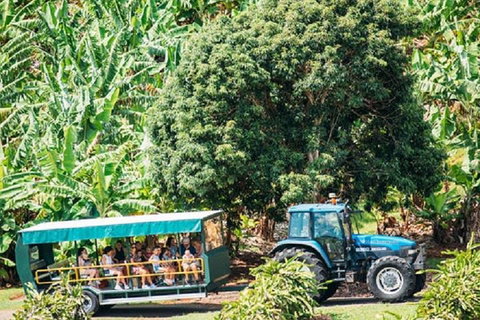 Tropical Fruit World With Wildlife Boat Cruise From Gold Coast - Hervey Bay Accommodation 1