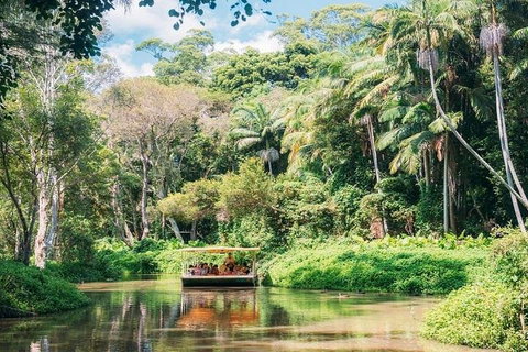 Tropical Fruit World With Wildlife Boat Cruise From Gold Coast - Hervey Bay Accommodation 3