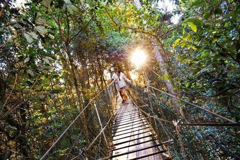O'Reilly's & Lamington National Park From Brisbane - Hervey Bay Accommodation 5