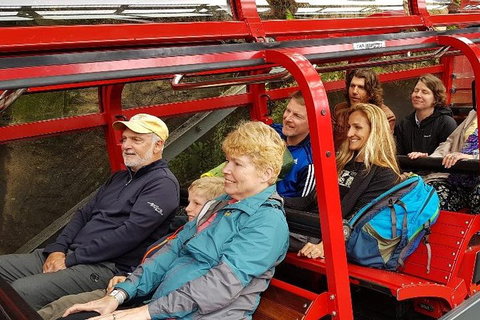 Blue Mountains Ultimate One-Day Tour - Hervey Bay Accommodation 0