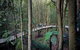 Blue Mountains PRIVATE Day Tour - thumb 5