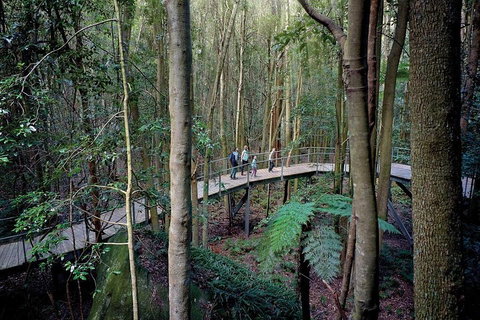 Blue Mountains PRIVATE Day Tour - Hervey Bay Accommodation 5