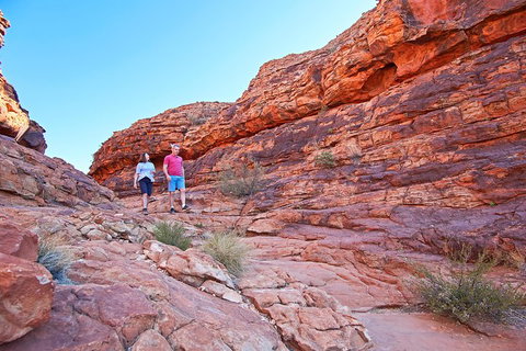 Kings Canyon Day Trip From Ayers Rock (Uluru) - Hervey Bay Accommodation 2