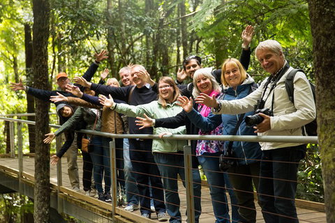 All Inclusive Blue Mountains Small-Group Day Trip From Sydney - Hervey Bay Accommodation 5