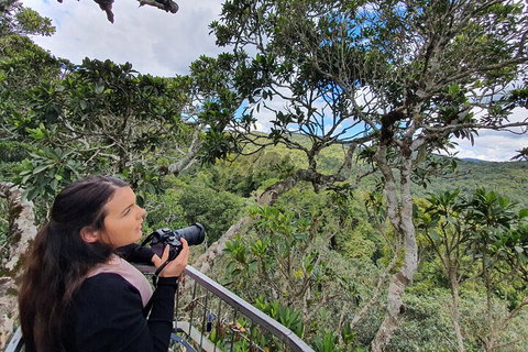 Lamington National Park, O'Reilly's & Vineyard Tour - Hervey Bay Accommodation 1