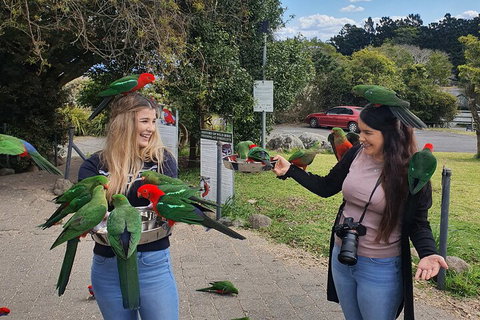 Lamington National Park, O'Reilly's & Vineyard Tour - Hervey Bay Accommodation 5