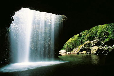 Natural Bridge & Springbrook Waterfalls Tour - Hervey Bay Accommodation 0